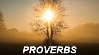 Proverbs 2 922  quotExpressions of a universal truth for practical godly living” [upl. by Moshe694]