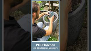 Create your own irrigation system from PET bottles [upl. by Reba]