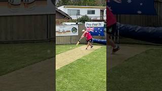 TAKING OVER v NIFF NUFFS  SFinal 1  ADT20 Big Bash 2024 shorts cricket backyardcricket [upl. by Siger]