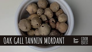 HOW TO USE OAK GALL AS A TANNIN MORDANT  NATURAL DYE  ORGANIC COLOR  BEIGE TAN GRAY  IRON WATER [upl. by Lledroc]