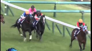 20130602 Yasuda Kinen  Lord Kanaloa [upl. by Hebel260]