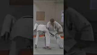 Jiu Jitsu armlock serie [upl. by Kenney704]