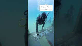 Scuba diving courses for 2025 Is now open for bookings scubacertification divecertification [upl. by Halyk]