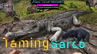 Ark survival mobile  High level sarco Taming dung beetle  phiomia  E11  arkseries [upl. by Thorlie]