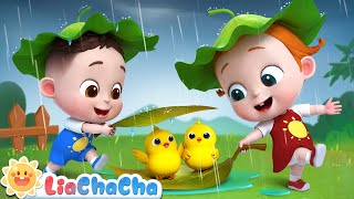 Baby Animals Play in the Rain  Rain Rain Go Away  Kids Songs amp Nursery Rhymes  LiaChaCha [upl. by Solly396]