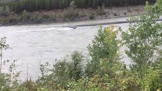 Stikine river jet boating [upl. by Lledo]