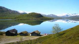 Arve Moen Bergset  Pål sine høner [upl. by Idnas]