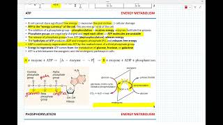 Week 7  Cellular respiration [upl. by Cj314]