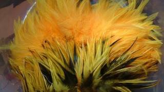 How to Dye Feathers Sunburst with Davie McPhail [upl. by Odnomor]