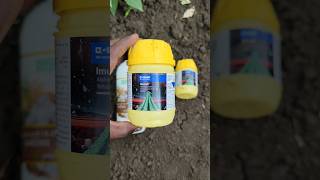 BASF Imunit Insecticide  Basf new insecticide  basf insecticide farming agriculture [upl. by Irrol17]