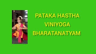 pataka hastha viniyoga 3 dancevideo [upl. by Youngman176]