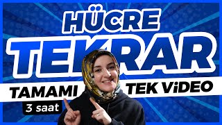 2 Hücre FULL TEKRAR   9 Sınıf Biyoloji  TYT Biyoloji Konu Anlatımı 2 [upl. by Helmer]