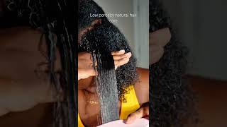 Use hot water in a spray bottle to hydrate your low porosity hair naturalhair blackhair [upl. by Norraj]