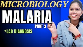 Malaria  Malaria microbiology 2nd year Malaria life cycle  Malaria microbiology [upl. by Livingston139]