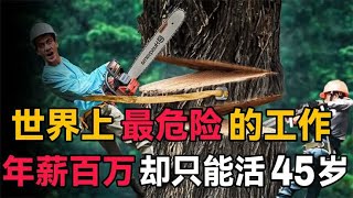 世界上最危险的10种高薪工作：每年只上几天班，年薪高达数百万 [upl. by Ayila]