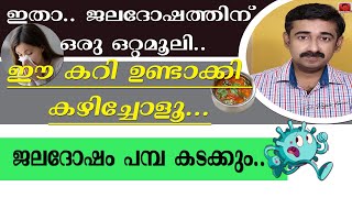 ഇതാ ജലദോഷത്തിന് ഒരു ഒറ്റമൂലിഈ കറി ഉണ്ടാക്കി കഴിച്ചോളൂജലദോഷം പമ്പ കടക്കും [upl. by Lamrej]