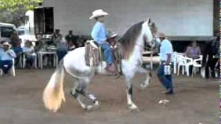 Caballos de Santiago Nayarit [upl. by Siuqramed]