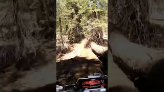 Single Track Heaven 🇺🇸 dirt bike riding motorcycle rider moto explore adventure funny [upl. by Igic677]