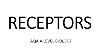 RECEPTORS  AQA A LEVEL BIOLOGY  EXAM QUESTIONS RUN THROUGH [upl. by Anawahs]