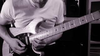 ANOTHER BRICK IN THE WALL  David Gilmour Guitar Solo Cover best playthrough [upl. by Jeannine672]