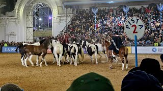 Expo Rural Palermo 2024  Tropillas Entabladas ovacion del publico [upl. by Agna479]