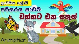 Wattata Ena Sathun Parisaraya Grade 123 ශ්‍රේණිවත්තට එන සතුන් පරිසරය පාඩම [upl. by Dudley]