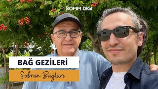 Sobran Bağları Gezisi Bağcılık ve Şarap Üretimi [upl. by February]