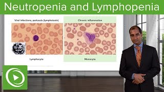 Quantitative WBC Disorders Leukocytosis amp Leukopenia – Pathology  Lecturio [upl. by Greyson]