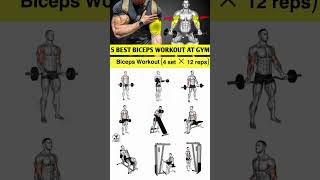 biceps workout biceps workout at gym biceps workout with dumbbells World’s FASTEST Biceps Workout [upl. by Ydnarb762]