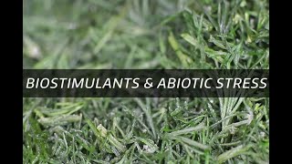 Biostimulants amp Abiotic stress [upl. by Nohsid]