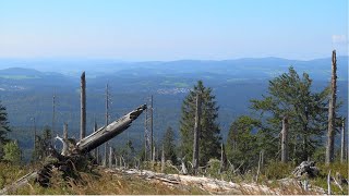 quotMythos Böhmerwald  die große Wanderungquot [upl. by Elohcim]