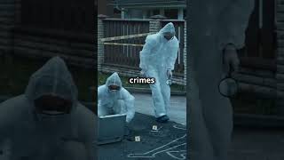 Describe in detail three different types of crime people commit [upl. by Ahsimot]