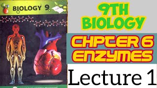 Enzymes Chapter 6  Biology class 9th  Introduction Lecture 1 [upl. by Yeltneb]