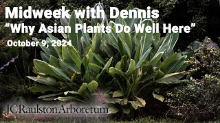 Midweek with Dennis  quotWhy Do Asian Plants Do So Well in the Southeastern USquot [upl. by Kablesh]