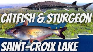 Fishing Planet SAINT CROIX LAKE Blue Catfish amp Lake Sturgeon  HOTSPOT 🎣 [upl. by Atrice404]