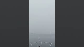 🌫️ It is a Foggy View 🌁 Cannot Even See the Historic Swing Bridge over the Beaufort River 🌉 [upl. by Notseh]