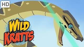 Wild Kratts  The Roughest Toughest Animals in the Wild  Kids Videos [upl. by Hermie30]