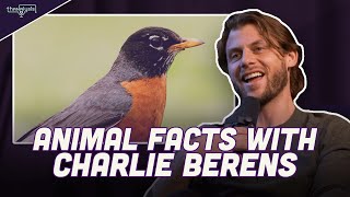 Animal Facts with Comedian Charlie Berens Wisconsin Edition [upl. by Yellat]