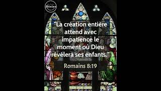 Verset Biblique Du Jour  Romains 819  LAttente Ardente de la Révélation des Enfants de Dieu [upl. by Kyne]