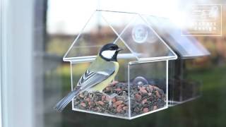 FB370 Bird feeder [upl. by Scevor]