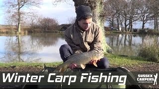 Sussex Carpers  Episode 18  Winter Fishing at Belfry Fishery [upl. by Lyrej562]