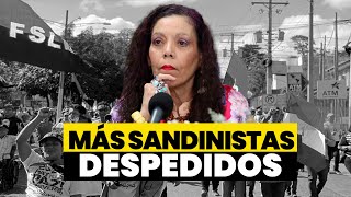 🚨 Nuevos despedidos de sandinistas por orden de Murillo [upl. by Eedyah849]