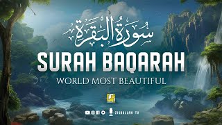 Surah Al Baqarah Full سورة البقره  Relaxing Calming amp Heart Touching Quran  Zikrullah TV [upl. by Shute499]