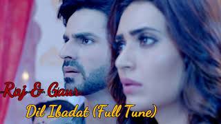 Qayamat Ki Raat Background Music  Raj amp Gauri Dil Ibadat Version 1  Tv Serial Songs [upl. by Aneeres608]