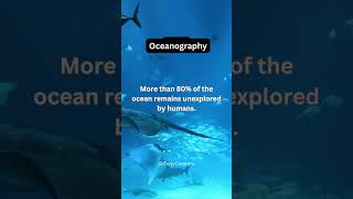 Science Fact  Oceanography  Science 13  shorts science facts oceanography viral [upl. by Ayinat]