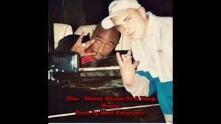 2Pac  Shorty Wanna Be A Thug Remix Prod by Mert Kanyılmaz [upl. by Kyre470]