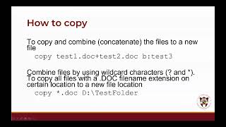 File System Navigation and Manipulation Part 2 [upl. by Hanae328]