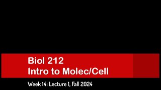 CSULB Biol 212 Fall 2024  Week 14 Lecture 1 [upl. by Lucilla]