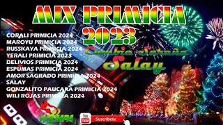 MIX PRIMICIA 2024 CUMBIA SUREÑA SALAY DJ IMPA [upl. by Ellary760]