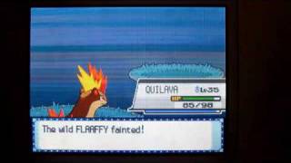 Pokemon HeartGoldSoulSilver  Shiny Quilava Evolves into Shiny Typhlosion [upl. by Nalid]